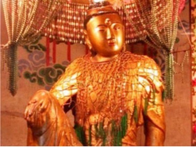 歪脖老母旅游团浅析歪脖老母背面竟有这般美妙传说